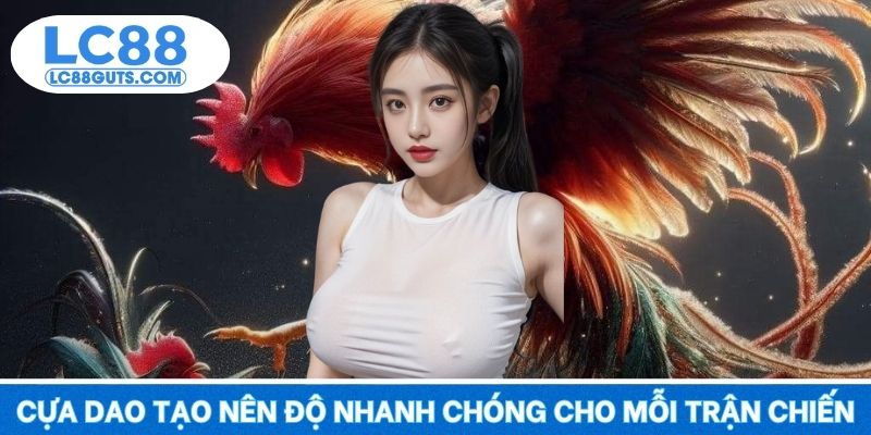 Đá Gà LC88 5 Cựa dao tạo nên độ nhanh chóng cho mỗi trận chiến