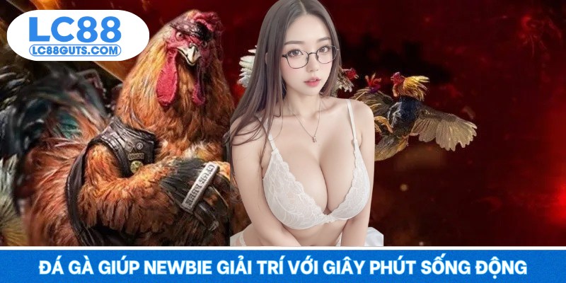 Đá gà giúp newbie giải trí với giây phút sống động